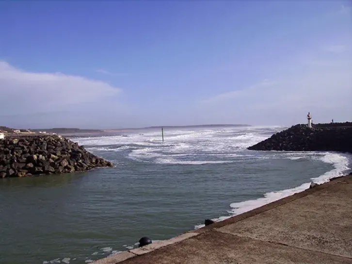 image Ocean1.webp (28.4kB)