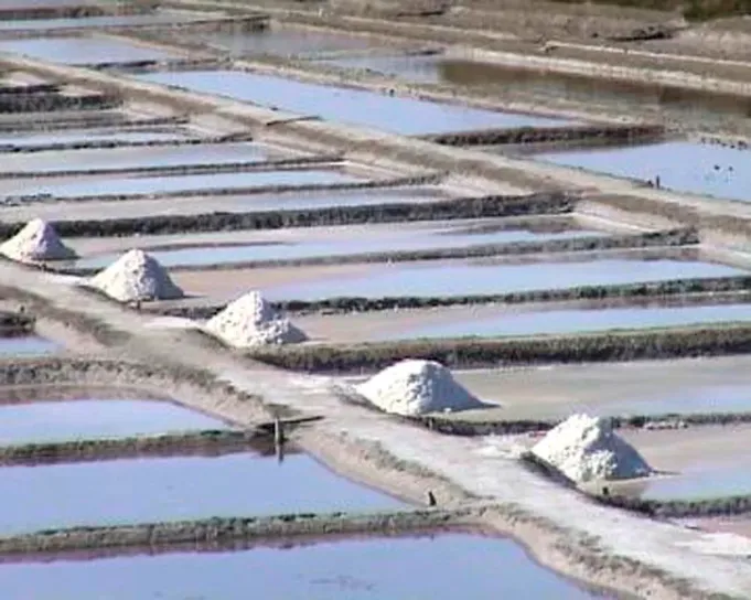 image maraissalant.webp (49.9kB)