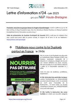 Lettre d'information n°04