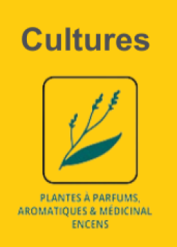 Mise à jour du cahier des charges PPAM en 2025