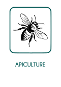 image Apiculture_txt.png
Lien vers: https://intranet.natureetprogres.org/?CdcApiculture_fichierbf_cr/download&file=CdcApiculture_fichierbf_cr_CDCNATUREPROGRESAPICULTURE2012_20231215134136_20231215134136.pdf_