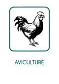 image Aviculture_txt.png
Lien vers: https://intranet.natureetprogres.org/?CdcAviculture_fichierbf_cr/download&file=CdcAviculture_fichierbf_cr_CDCNATUREPROGRESAVICULTURE2019_20231215134448_20231215134448.pdf_