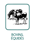 image BovinsEquids_txt.png
Lien vers: https://intranet.natureetprogres.org/?CdcBovinsEquides_fichierbf_cr/download&file=CdcBovinsEquides_fichierbf_cr_CDCNATUREPROGRESBOVINSEQUINS2017_20231215181231_20231215181231.pdf_