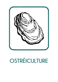 image Ostriculture_txt.png
Lien vers: https://intranet.natureetprogres.org/?CdcOstreiculture_fichierbf_cr/download&file=CdcOstreiculture_fichierbf_cr_CDC_NATURE_amp_PROGRES__OSTREICULTURE__2025_20250205100711_20250205100711.pdf_