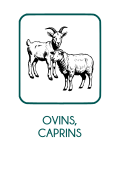 image OvinsCaprins_txt.png
Lien vers: https://intranet.natureetprogres.org/?CdcOvinsCaprins_fichierbf_cr/download&file=CdcOvinsCaprins_fichierbf_cr_CDCNATUREPROGRESOVINSCAPRINS2017_20231215181907_20231215181907.pdf_