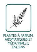 CDC Plantes aromatiques et m&eacute;dicinales
Lien vers: https://intranet.natureetprogres.org/?CdcPpam2025_fichierbf_cr/download&file=CdcPpam2025_fichierbf_cr_CDC_PPAM_2005_Maj2025_Chanvre_Houblon_20260510160449_20260510160449.pdf_