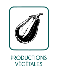 image Productions_vgtales_txt.png
Lien vers: https://intranet.natureetprogres.org/?PageBasedocumentaire/download&file=CDC_Productions_vgtales_2010.pdf